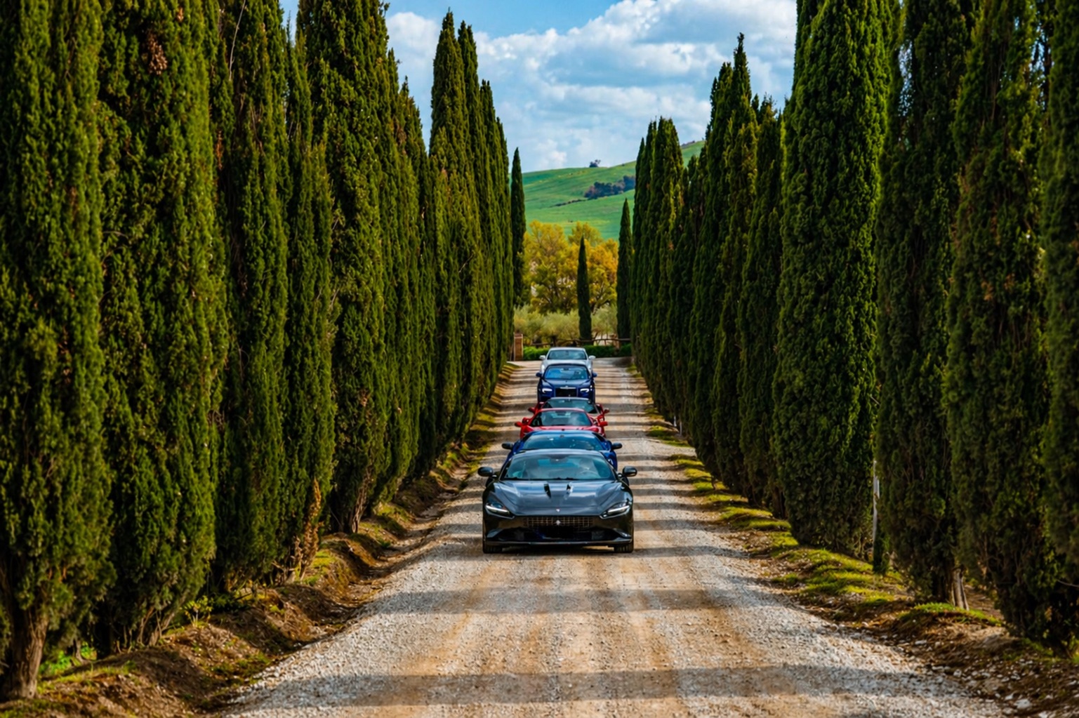 Supercar convoy between cypress trees